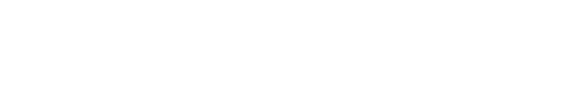 Logo soluzioni